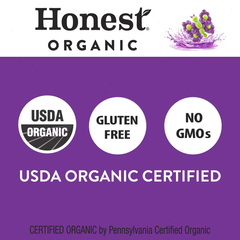 Honest Kids Goodness Grapeness Organic Juice Drink - 8pk/6 fl oz Boxes