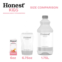 Honest Kids' Organic Strawberry Banana Juice Drink - 8pk/6 fl oz Boxes