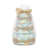 The Honest Company Clean Conscious Diaper Cake - Above It All - 39ct
