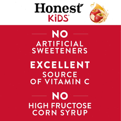 Honest Kids Super Fruit Punch Organic Juice Drinks - 8pk/6.75 fl oz Pouches