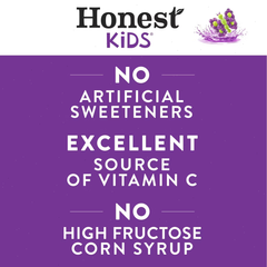 Honest Kids Goodness Grapeness Organic Juice Drink - 8pk/6 fl oz Boxes