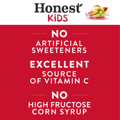Honest Kids Organic Fruit Punch Juice Drink - 8pk/6 fl oz Boxes