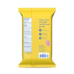 Welly Antiseptic Wipes - 25ct
