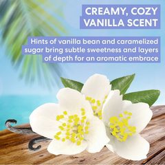 Palmer's Tahitian Vanilla Body Lotion - 13.5 fl oz