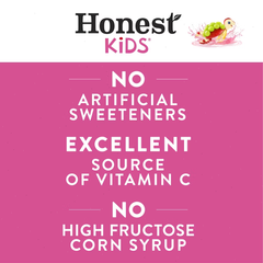 Honest Kids Organic Berry Lemonade Juice Drink - 8pk/6 fl oz Boxes