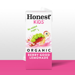 Honest Kids Organic Berry Lemonade Juice Drink - 8pk/6 fl oz Boxes